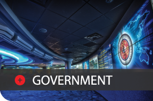 government
